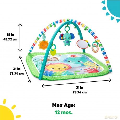 Bright Starts - Wild Wiggles FoldAway Activity Gym - (BS-16814)