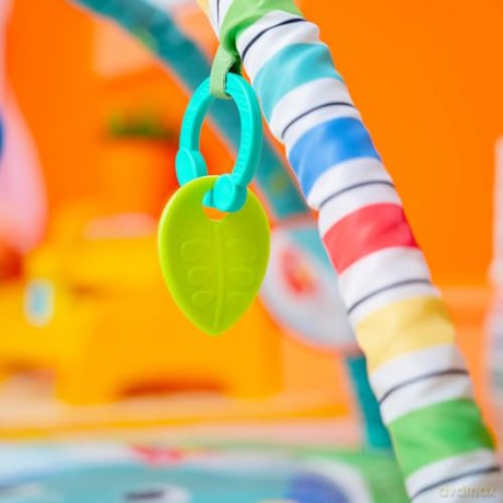 Bright Starts - Wild Wiggles FoldAway Activity Gym - (BS-16814)