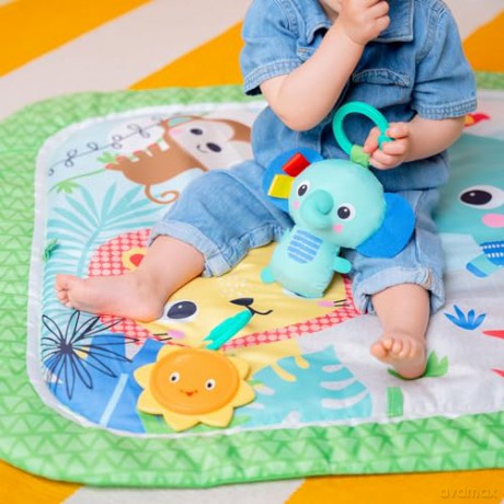 Bright Starts - Wild Wiggles FoldAway Activity Gym - (BS-16814)