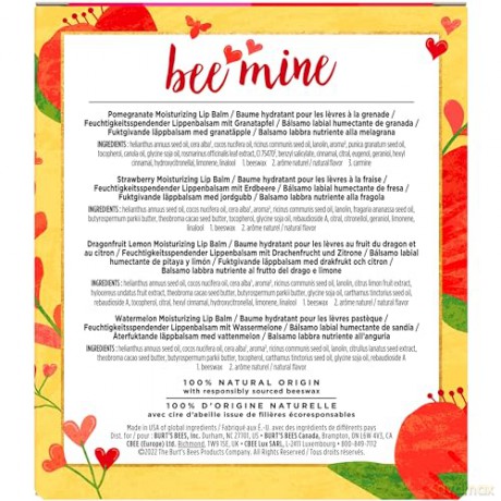 Burt's Bees - Bee Mine Lip Balm Gift Box
