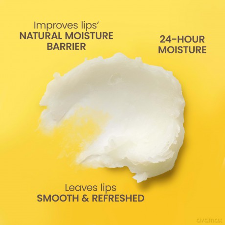 Burt's Bees - Bee Mine Lip Balm Gift Box
