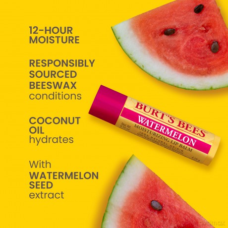 Burt's Bees - Bee Mine Lip Balm Gift Box