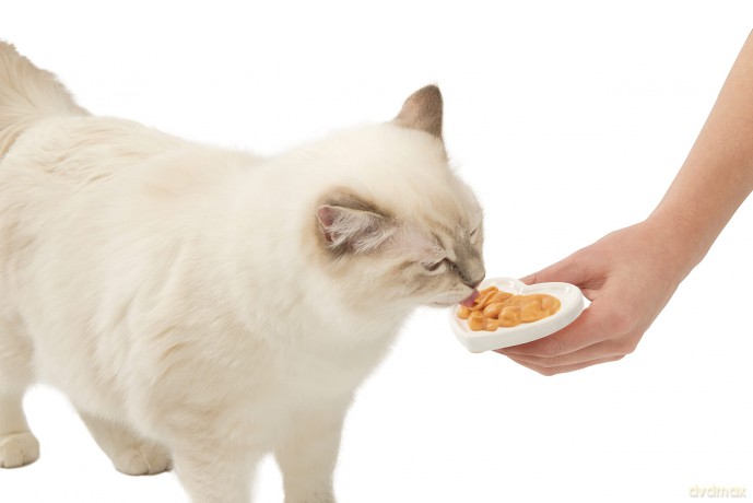 Catit - Creamy Premium Treat for Cats - Chicken - 4x10g