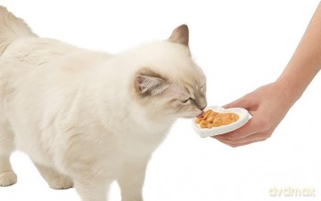 Catit - Creamy Premium Treat for Cats - Tuna, 4x10g