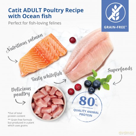 Catit - Premium Dry Food for Cats - Adult Fish - 2kg