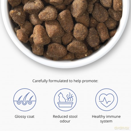 Catit - Premium Dry Food for Cats - Adult Fish - 2kg
