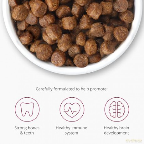 Catit - Premium Dry Food for Kittens - Chicken - 2 kg