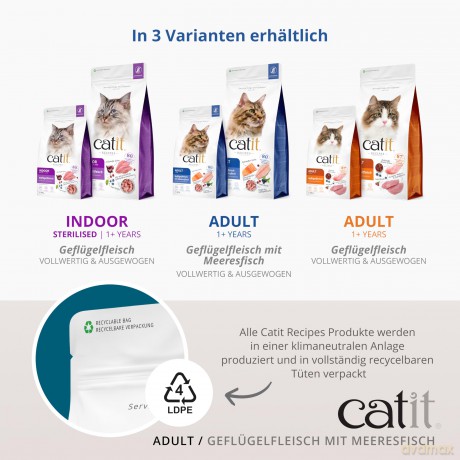 Catit - Recipes Premium Dry Food for Cats - Adult Fish - 400gram