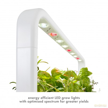 Click and Grow - Smart Garden 9 Starter kit (Color: Dark Gray) (SG9S8UNI)