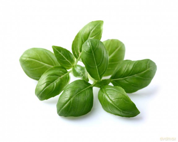 Click and Grow - Smart Garden Refill 3-pack - Basil (SGR3X3)