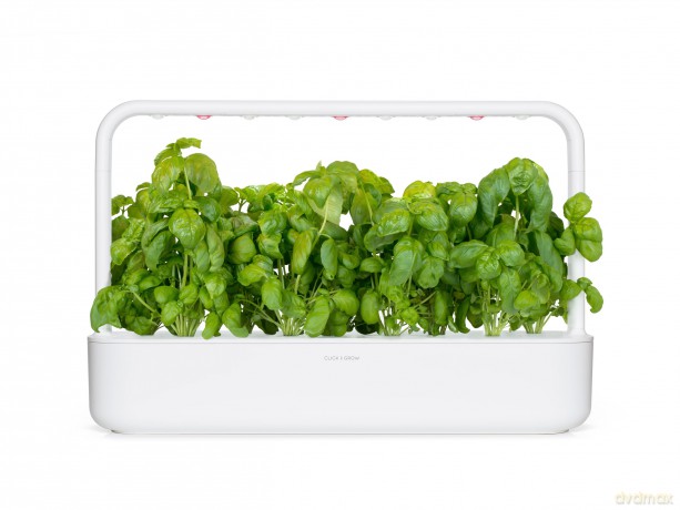 Click and Grow - Smart Garden Refill 3-pack - Basil (SGR3X3)