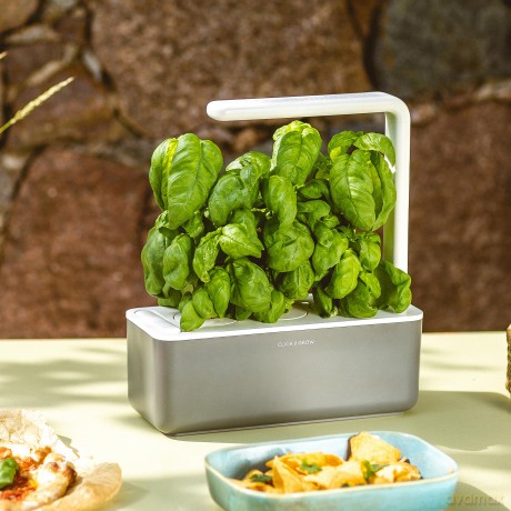 Click and Grow - Smart Garden Refill 3-pack - Basil (SGR3X3)