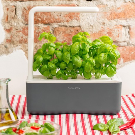 Click and Grow - Smart Garden Refill 3-pack - Basil (SGR3X3)