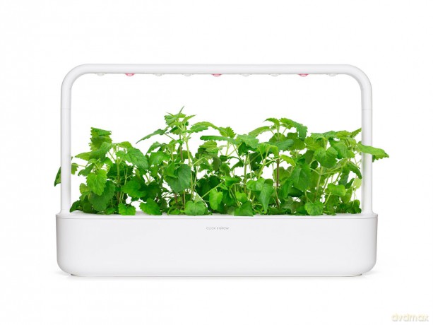 Click and Grow - Smart Garden Refill 3-pack - Catnip (SGR29X3)