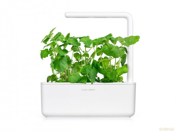 Click and Grow - Smart Garden Refill 3-pack - Catnip (SGR29X3)