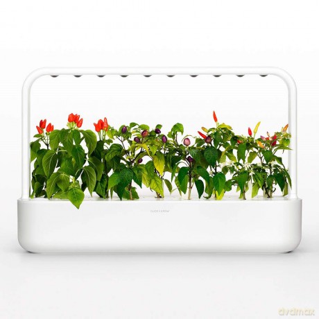 Click and Grow - Smart Garden Refill 3-pack - Chili Pepper (SGR6X3)