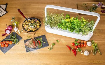 Click and Grow - Smart Garden Refill 3-pack - Mini Tomato (SGR5X3)