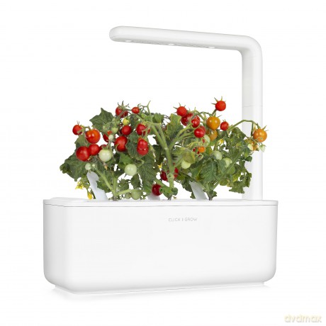 Click and Grow - Smart Garden Refill 3-pack - Mini Tomato (SGR5X3)