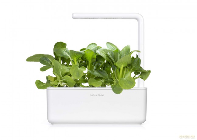 Click and Grow - Smart Garden Refill 3-pack - Pak choi (SGR58X3)
