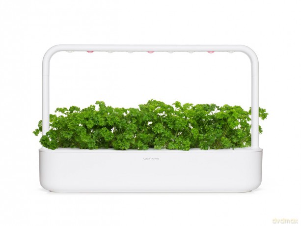Click and Grow - Smart Garden Refill 3-pack - Parsley (SGR13X3)