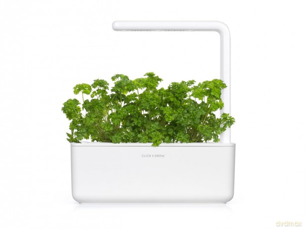 Click and Grow - Smart Garden Refill 3-pack - Parsley (SGR13X3)