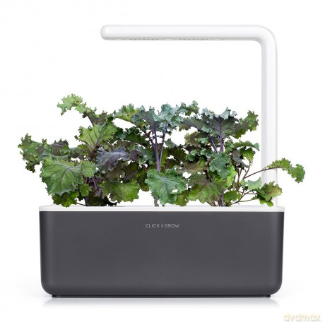 Click and Grow - Smart Garden Refill 3-pack - Red Kale (SGR47X3)