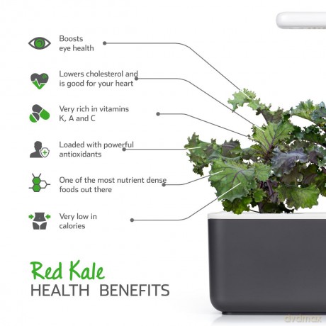 Click and Grow - Smart Garden Refill 3-pack - Red Kale (SGR47X3)