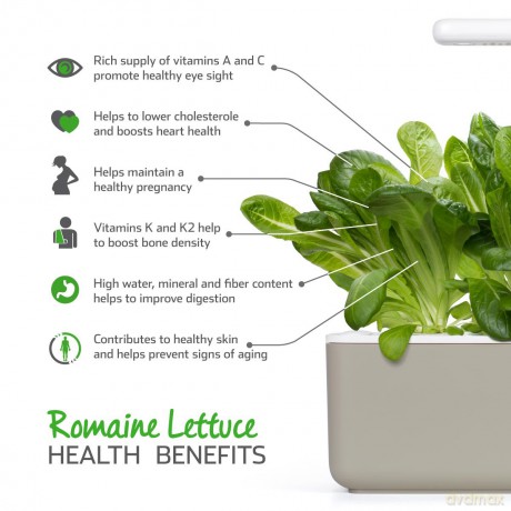Click and Grow - Smart Garden Refill 3-pack - Romaine Lettuce (SGR50X3)