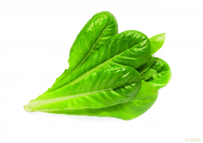 Click and Grow - Smart Garden Refill 3-pack - Romaine Lettuce (SGR50X3)