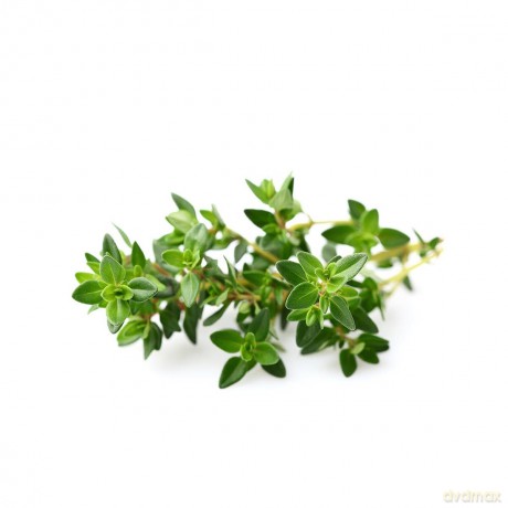 Click and Grow - Smart Garden Refill 3-pack - Thyme (SGR17X3)
