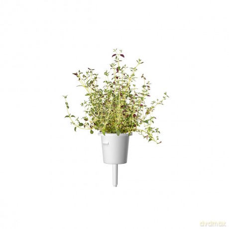 Click and Grow - Smart Garden Refill 3-pack - Thyme (SGR17X3)
