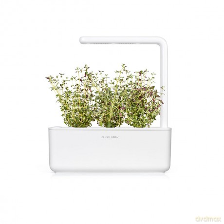 Click and Grow - Smart Garden Refill 3-pack - Thyme (SGR17X3)