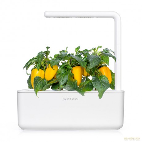 Click and Grow - Smart Garden Refill 3-pack - Yellow Sweet Peppers (SGR53X3)