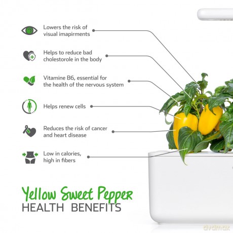 Click and Grow - Smart Garden Refill 3-pack - Yellow Sweet Peppers (SGR53X3)