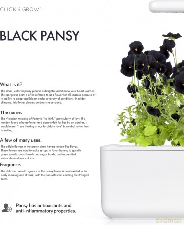 Click and Grow - Smart Garden Refill 3-pack Black Pansy