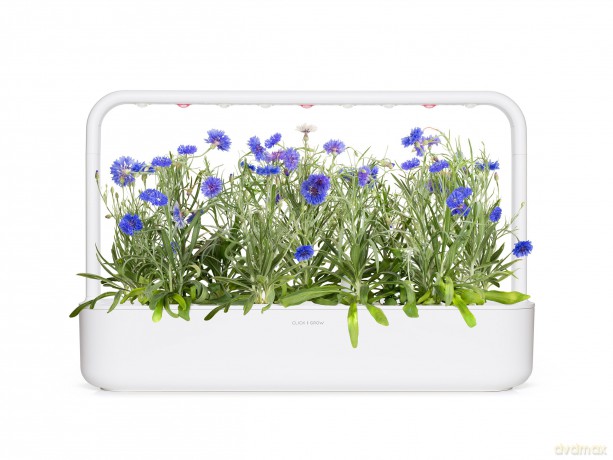 Click and Grow - Smart Garden Refill 3-pack Cornflower