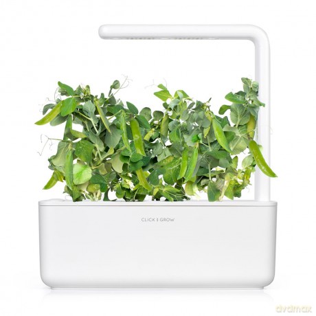 Click and Grow - Smart Garden Refill 3-pack Dwarf Pea