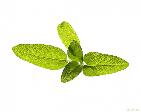 Click and Grow - Smart Garden Refill 3-pack Garden Sage