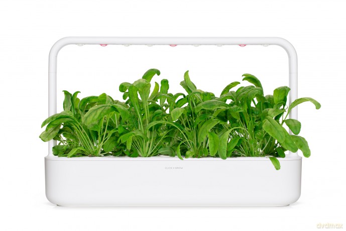 Click and Grow - Smart Garden Refill 3-pack Mibuna