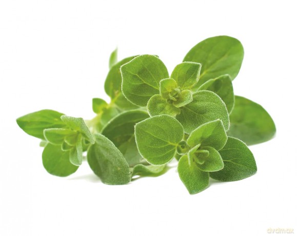 Click and Grow - Smart Garden Refill 3-pack Oregano
