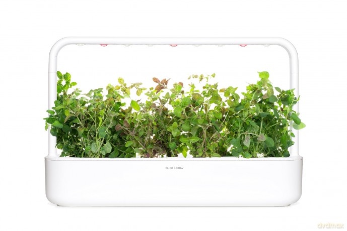 Click and Grow - Smart Garden Refill 3-pack Oregano