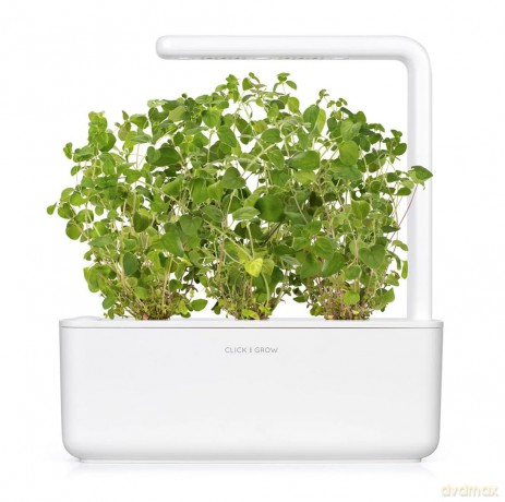 Click and Grow - Smart Garden Refill 3-pack Oregano