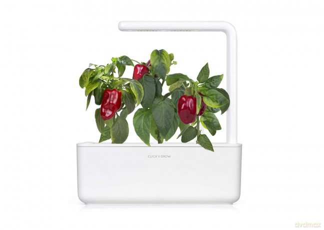 Click and Grow - Smart Garden Refill 3-pack Sweet red peppers