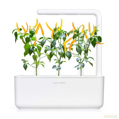 Click and Grow -- Smart Garden Refill 3-pack Yellow Chili Pepper