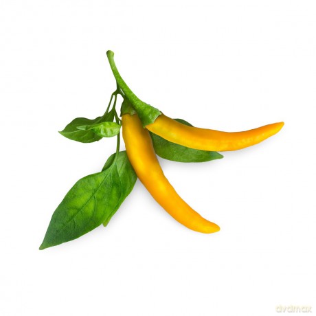Click and Grow -- Smart Garden Refill 3-pack Yellow Chili Pepper