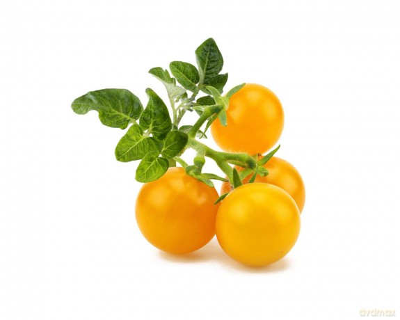 Click and Grow - Smart Garden Refill 3-pack Yellow Tomato