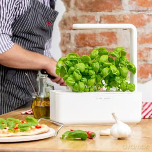 Click and Grow - Smart Garden Refill 9-pack Basil Variety Mix