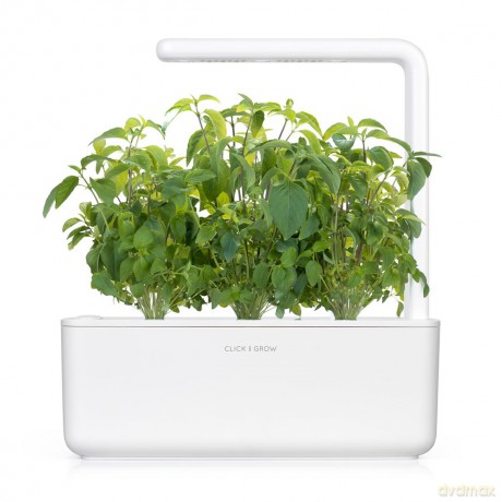 Click and Grow - Smart Garden Refill 9-pack Basil Variety Mix