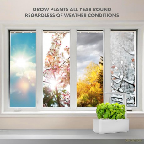 Click and Grow- Smart Garden 3 Start kit (Color: White) (SGS1UNI)