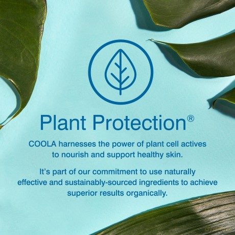 Coola - Liplux Lip Balm SPF 30
